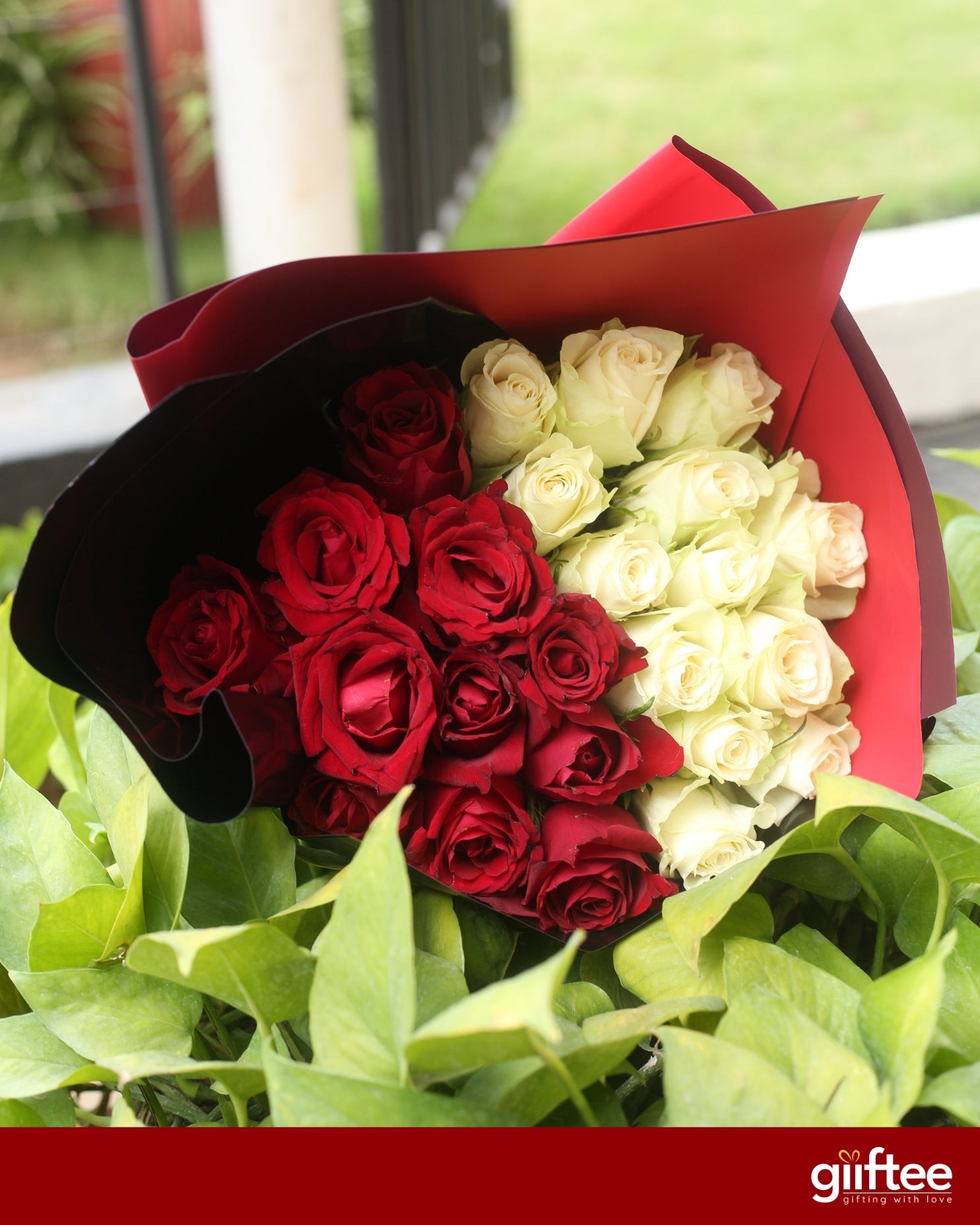 Yin & Yang Roses
